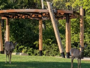 Outdoor Stage